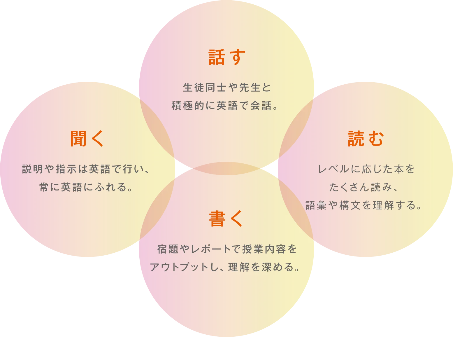 自律的な学習習慣が語学力を確実に伸ばす